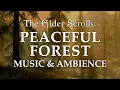 Download Lagu The Elder Scrolls Music \u0026 Ambience | Peaceful Forest, 5 Beautiful Scenes with Calm Music Mix, 6 Hrs