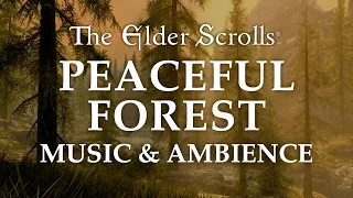 The Elder Scrolls Music Ambience Peaceful Forest 5 Beautiful Scenes with Calm Music Mix 6 Hrs