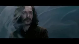 Sirius Black Little Lion Man