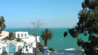                                      دندنها