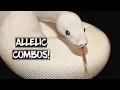 Allelic Combinations in Ball Pythons