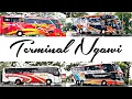 Lagu Terminal Ngawi || Bus Trans Jawa Silih Berganti Masuk
