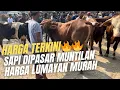 Download Lagu 🔥HARGA TERKINI🔥SAPI DIPASAR MUNTILAN ‼️ HARGA LUMAYAN MURAH‼️