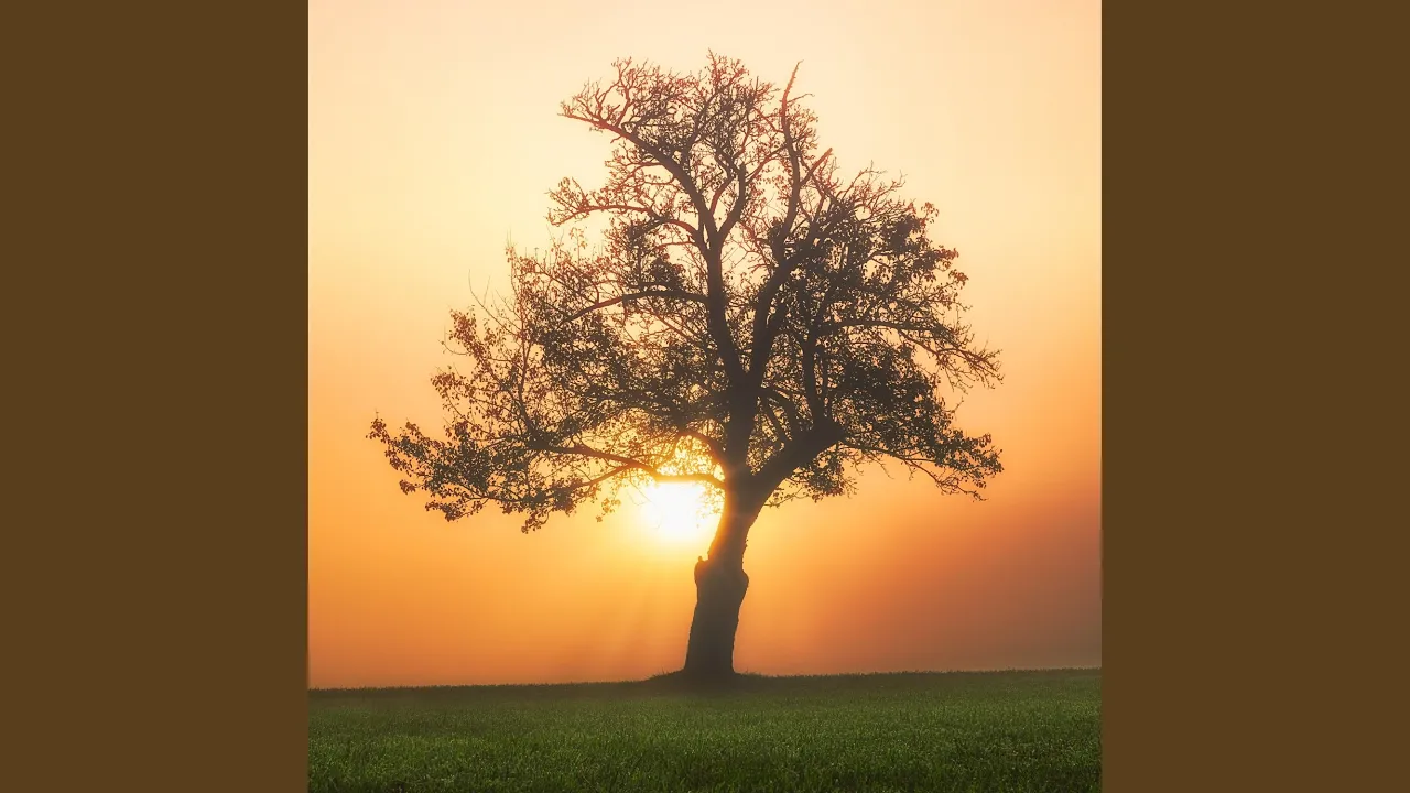 A New Beginning A New Beginning
