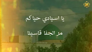 من بلدنا تعنينا   زيارة السيد احمد الرفاعي الكبير   الرفاعي  حضرة  مقام                            دندنها