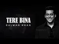Tere Bina - Salman Khan (Lyrics)