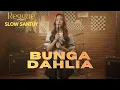 Lagu BUNGA DAHLIA – SKA REGGAE VERSION