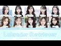 Download Lagu Labrador Retriever - AKB48 Color Coded [Romaji Lyrics] Cover By LWD42