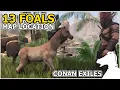 13 Foals Map Locations CONAN EXILES