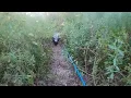 Download Lagu 10 Shocking Crocodile Encounters Caught on Camera 