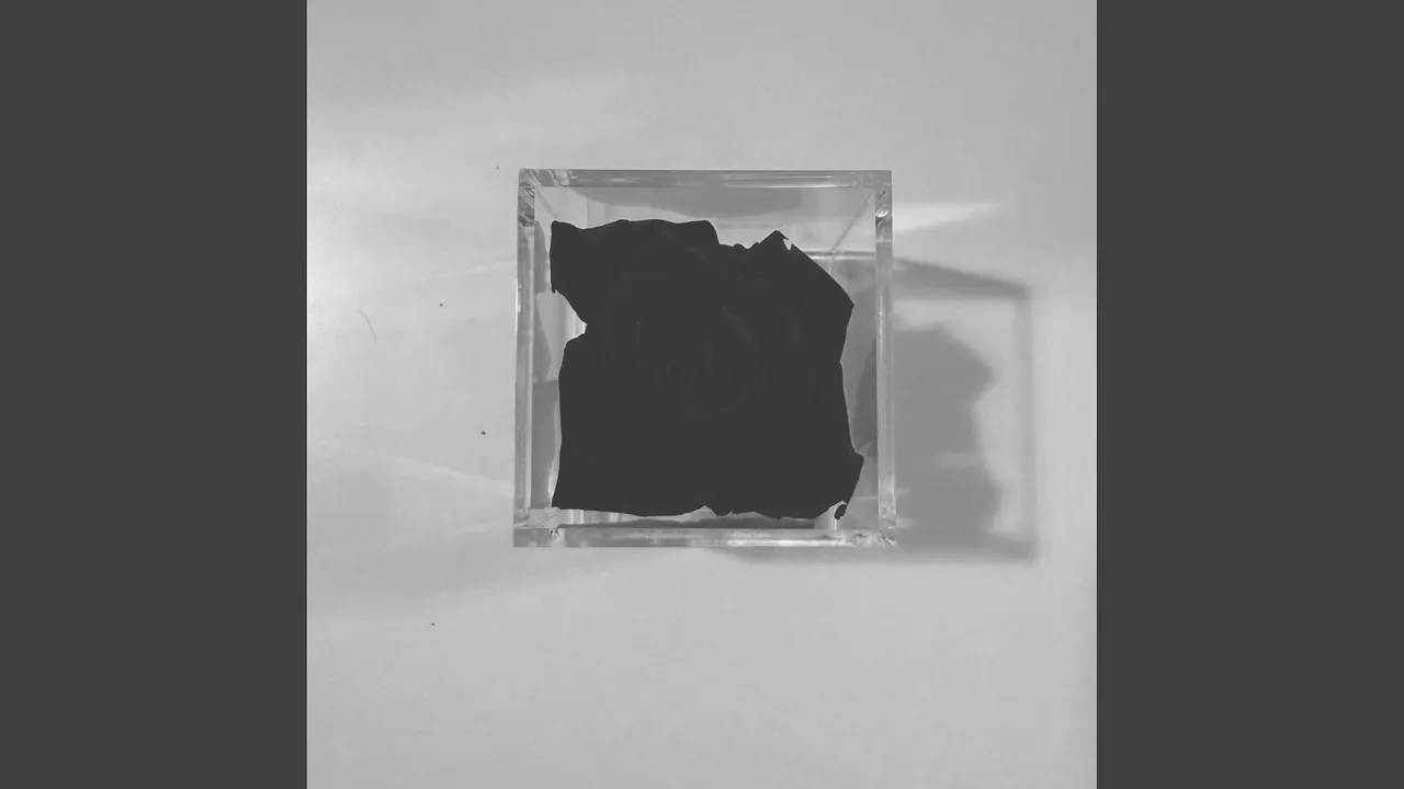 Steven Rodriguez - Porcelain And Pain