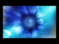 Manse feat. Chris Jones - Rising Sun