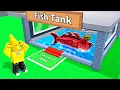 Download Lagu I Built A Fish Tank To Troll My Friend in Steal A Brainrot MP3