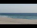 3-2-20 Betty and Nicks Conditions Part 1