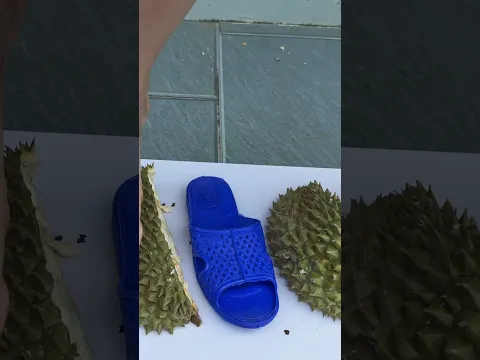 Dép sầu riêng này bạn dám đi không? 🤣🥵 #funny #shortvideo