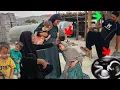 Download Lagu Documentary on nomadic life: \