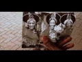 Cassper Nyovest feat. Mahotela Queens - Malome (Official Music Video)