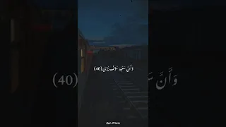 وأن ليس للإنسان إلا ما سعي من سورة النجم محمود خليل الحصري  وأن ليس للإنسان إلا ما سعي من سورة النجم محمود خليل الحصري