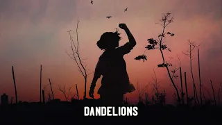 Download dandelions (Gustixa Remix) Lyrics MP3