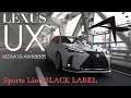 ARTISAN SPIRITS BLACK LABEL LEXUS UX F SPORT - BODY KIT