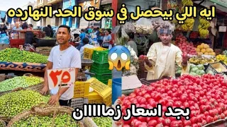 يا نهار ابيض انخفاض سعر الزيتون الاخضر بسعر ده والفراخ والبط لشهر رمضان والسمك هبوط والطماطم الخضار  دندنها