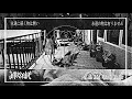 Download Lagu SERIGALA - TAK ADA YANG ABADI ( NOAH COVER )