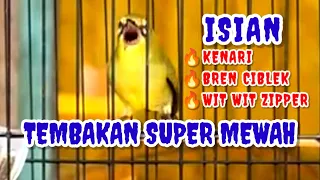 materi isian mewah pleci nembak wit wit kenari zipper sambung bren ciblek