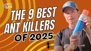 The 9 Best Ant Killers of 2025 According to an Exterminator