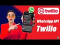 How to Use Twilio WhatsApp Sandbox to Send and Receive Messages Using Twilio WhatsApp Number