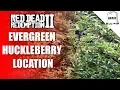 Evergreen Huckleberry Location Red Dead Online Daily Challenge RDR2