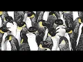 Bruno Major - You Take The High Road (Official Video)