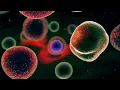 What Happens If You Fall Into Jupiter | Anatomy of a Fall