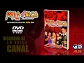 Download Lagu DVD Mala 100 Alça - Ao vivo em Folia (PA)