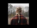 Taylor Swift - willow | 1 HOUR