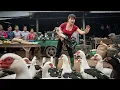 Lagu [TIMELAPSE] Harvesting Many Muscovy Ducks — Load 3-Wheeled Vehicle \u0026 Go to Market Sell