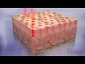 Dr Sean Simon Plastic Surgery - SmartSkin