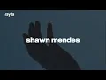 Shawn Mendes - Why Why Why (Español + Lyrics) | video musical