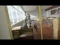 Lopunny Schoolgirl POV Pokemon 3D Fan Animation