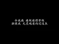 爱极爱 谭咏麟 (歌词版)