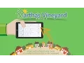 Martha s Vineyard Vacation Rental Homes