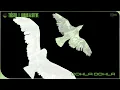 Tiësto, Lucas & Steve - Oohla Oohla (Official Audio)