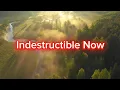 Post Malone - Indestructible Now