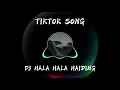Download Lagu TIKTOK VIRAL SONG - HALA HALA HAIDING ( DJ HALA HAIDING) [ INDI HALA HALA INDI ]