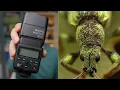 Download Lagu Best Flash and Flash Settings for Macro Photography