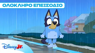 Βροχή | Νέο Ολόκληρο Επεισόδιο Bluey