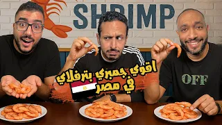 تحدي اقوي جمبري بترفلاي في مصر اضرب مع سري 