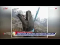 Download Lagu VIRAL! Ular Raja Anakonda Tewas Terpanggang Akibat Kebakaran Hutan di Sampit - BIP 20/09