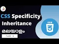 Css Specificity inheritance Malayalam Episode 6
