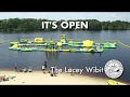 Lacey Wibit