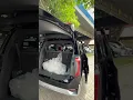 Download Lagu Interior GAC GN8 Master 2025 MPV china